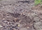 Wakafkan Jalan ke Perkuburan Aembambu, Warga : Kami Kecewa dengan Djafar Ahmad Jalan dibiarkan Rusak Parah