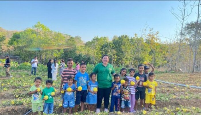 Membuka Jalan Pertanian dan Peternakan, Jane Natalia Suryanto Buktikan Pengabdian untuk NTT