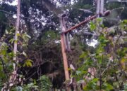 Tanggapi Keluhan Masyarakat terhadap Pemadaman Listrik, ini Penjelasan PT. PLN (Persero) ULP Ende
